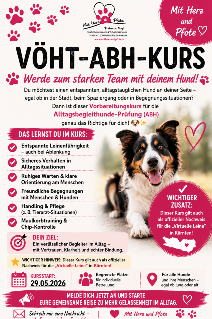 Vöht ABH-Kurs